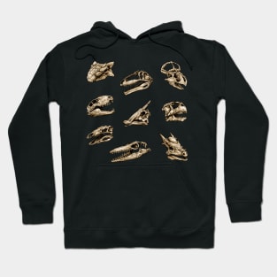 Dinosaur Skull Stickers Set 2 Hoodie